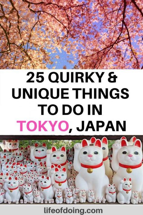 Tokyo Experiences, Japan Experiences, Tokyo Attractions, Tokyo Bucket List, Salmon With Mango Salsa, Salmon With Mango, Tokyo Itinerary, Tokyo Trip, Things To Do In Tokyo