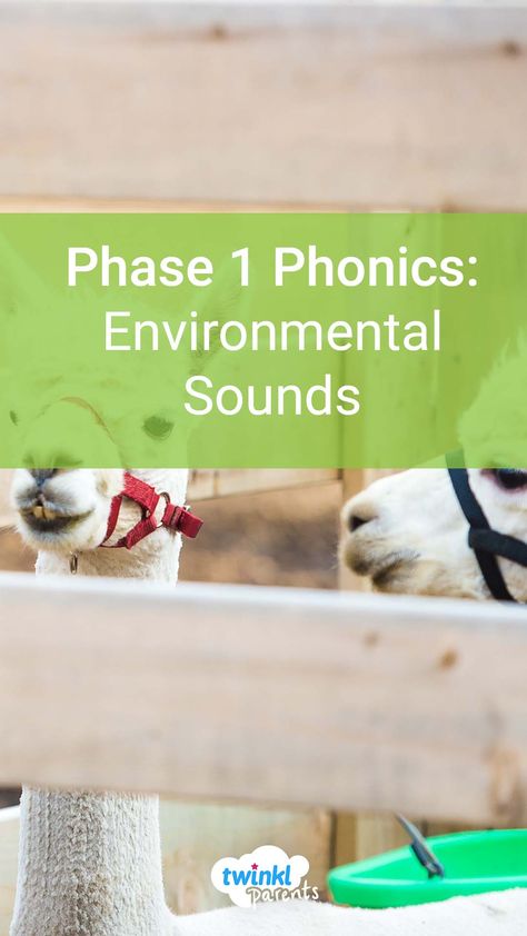 Learn more about what environmental sounds are and how you can support your child. This blog is a perfect guide to help you understand phonics, and engage your child in phonics activities at home. Which activity will you try first? Environmental Sounds Eyfs, Environmental Sounds Activities, Phonics Preschool, Phonics Phase 1, Phonics For Kindergarten, Phase 1 Phonics, How To Teach Phonics, Phonics Videos, Listening Games