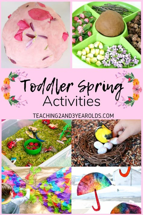 Looking for some fun toddler spring activities? Here are over 15 inviting activities that will bring nature into your home or classroom!  #spring #toddlers #sensory #finemotor #flowers #nature #classroom #home #toddleractivities #earlylearning #AGE2 #teaching2and3yearolds Spring Themed Crafts For Toddlers, Spring Activities For Kids Toddlers, Spring Childcare Activities, Springtime Toddler Activities, Toddler April Activities, Spring Flower Activities For Toddlers, Flower Themed Activities For Toddlers, Spring Craft Toddler, Garden Theme Toddler Activities