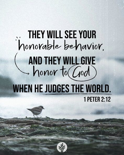 Peter Bible, Peter The Apostle, Pray First, Apostle Peter, Jesus Quotes Bible, Quotes Bible Verse, Short Bible Verses, Ancient Words, Sharing The Gospel