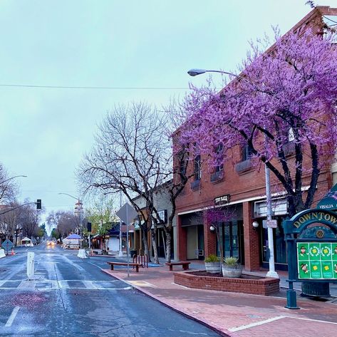 Small Towns In California, Visalia California, San Bernardino National Forest, Tulare County, California Towns, Beautiful California, Kings Canyon National Park, Usa Pride, Kings Canyon