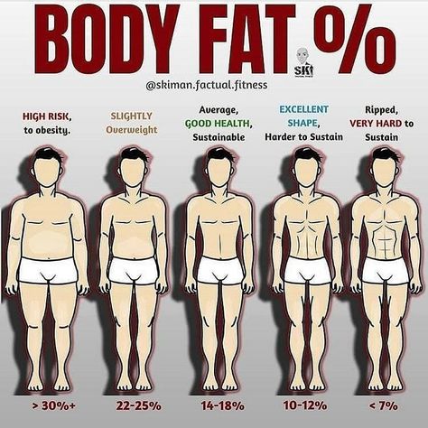 Fat Vs Muscle, Body Fat Percentage, Daily Home Workout, Gym Workout Tips, Fitness Nutrition, Weight Training, Daily Workout, Workout Challenge, Body Fat