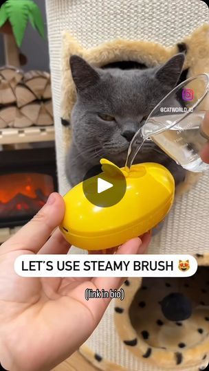 Shy Smith, Cat Hair Brush, Pet Care Products, Cat Grooming Tools, Cat Hair Removal, Dog Brush, Pet Area, Pet Grooming Tools, Dog Grooming Supplies