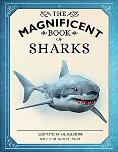 The Magnificent Book of Sharks: Taylor, Barbara, Weldon Owen, Walerczuk, Val: 9781681887982: Amazon.com: Books History Books For Kids, Shark Books, Shark Facts, Ocean Depth, Dangerous Animals, Incredible Creatures, The Great White, Extinct Animals, Oceans Of The World