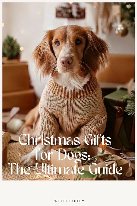 dog in sweater waiting for christmas gifts Dog Christmas Presents Gift Ideas, Dog Gifts For Christmas, Christmas Gifts For Dogs, Dog Brands, Dog Christmas Presents, Christmas Dog Treats, Ideas For Dogs, Inexpensive Christmas, Personalized Dog Gift