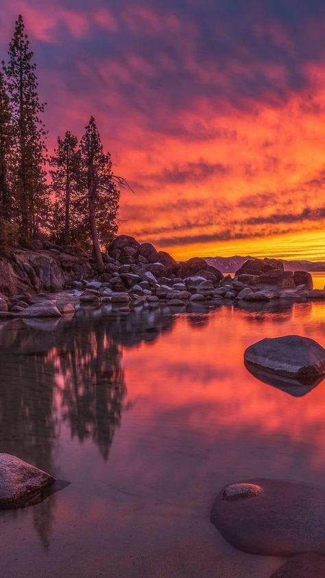 Lake Sunset Photography, Family Tree Background, Tahoe Lake, Tahoe Nevada, Sunrises And Sunsets, Lake Tahoe Nevada, Sunrise Lake, Nevada Usa, Red Wall Art