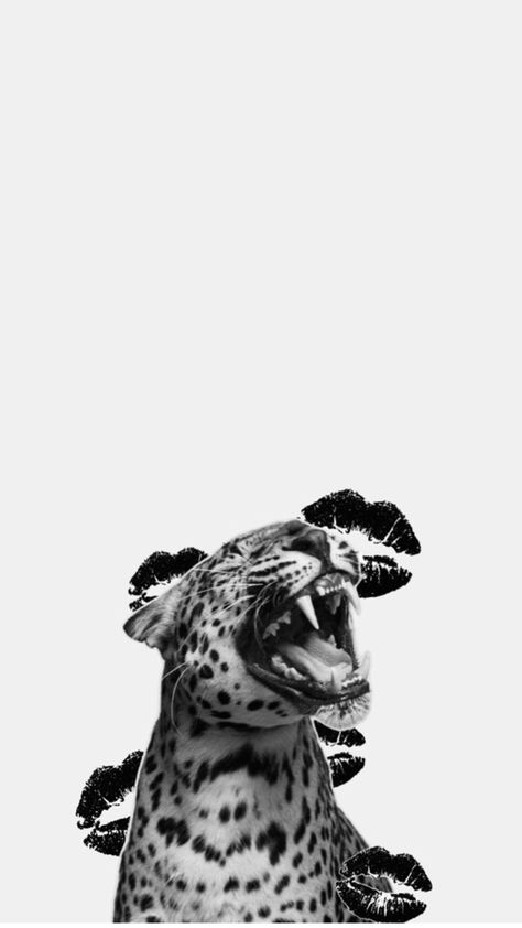 Cheetah Background, Grey Wallpaper Iphone, Leopard Print Wallpaper, Grey Wallpaper, Print Wallpaper, Pretty Wallpapers, Iphone Wallpaper, Collage, Iphone