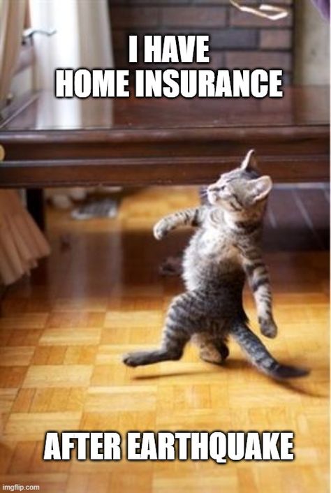 Home Insurance Memes: Funniest Meme Ever Created! Usually you wouldn’t think that insurance is a funny topic, but most of us can laugh at these hilarious insurance topic. #homeinsurancememes #homeownersinsurancememes #geicohomeinsurancememes Cat Ownership, Male Fitness, Haters Gonna Hate, Retro Humor, Cat People, Memes Humor, Funny Cat Memes, Funny Animal Memes, Animal Jokes