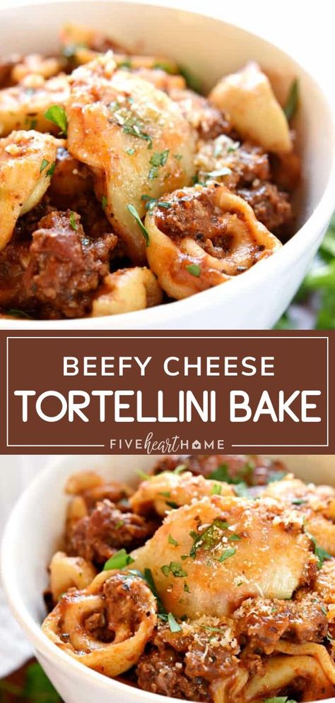 Cheese Tortellini Bake, Baked Tortellini, Tortellini Bake, Tortellini Recipes, Pasta Dinners, Cheese Tortellini, Pasta Dinner Recipes, Easy Casserole Recipes, Beef Recipes Easy