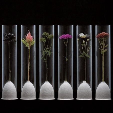 Japanese design company Rock Paper Scissors has designed a product that acts as both packaging and a display system for fresh flowers. Flower Packaging Design, Botanical Interior, Japanese Packaging, Short Vase, Tokyo Design, Rock Paper Scissors, How To Wrap Flowers, Flower Packaging, Japanese Flowers