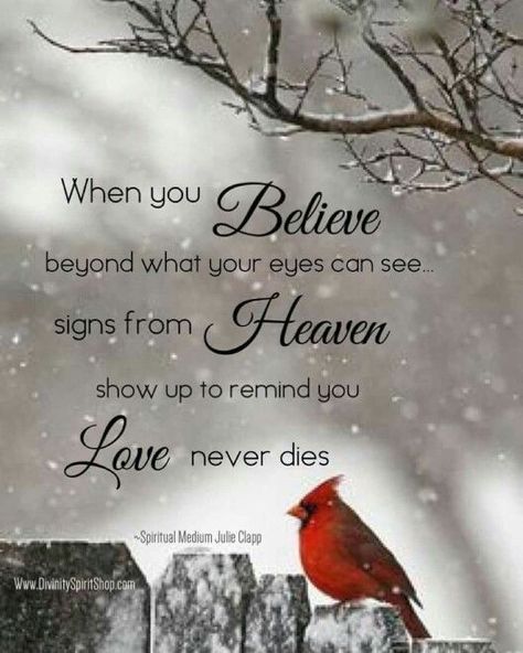 Signs from heaven, Quotes, Miss you mom Signs From Heaven, Lantern Svg, Lost Loved Ones, Miss You Mom, When You Believe, Love Never Dies, Red Bird, After Life, Loved Ones