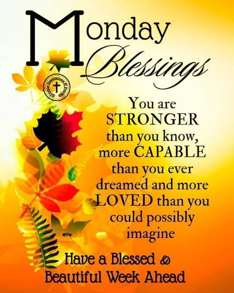 New Week Quotes, Monday Morning Blessing, Monday Greetings, Happy Monday Quotes, Monday Humor Quotes, Good Night Prayer Quotes, Monday Morning Quotes, Good Morning Happy Monday, Happy Wednesday Quotes