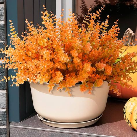 Amazon.com: Artificial Faux Mums Plants Flowers for Fall Outdoor Decoration,12 PCS Autumn Eucalyptus Plants Fake Plastic Boxwood Shrubs Realistic UV Resistant for Front Porch Patio Garden Home Decor(Dark Brown) : Home & Kitchen Boxwood Shrubs, Boxwood Bush, Front Porch Patio, Orange Eucalyptus, Planting Mums, Box Wood Shrub, Fall Mums, Artificial Eucalyptus, Fall Outdoor Decor