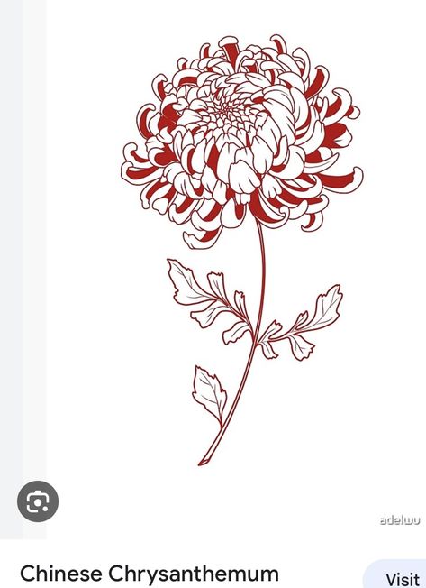 Red Chrysanthemum Drawing, Traditional Chrysanthemum Tattoo Design, Chrysanthemum Tattoo With Butterfly, Chrysanthemum With Stem Tattoo, Mums Tattoo Flower Chrysanthemums, Crisanthiums Flower Tattoo Design, Chrissanthamum Flower Tattoo, Orange Chrysanthemum Tattoo, Scorpio Chrysanthemum Tattoo