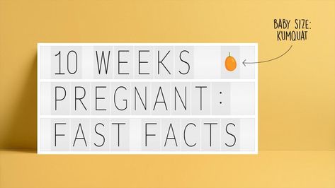 text: 10 weeks pregnant: fast facts 17 Weeks Pregnant Facts, 17 Weeks Pregnant Ultrasound, Pregnancy Video, Pregnant Symptoms, 17 Weeks Pregnant, 11 Weeks Pregnant, Prenatal Development, 10 Weeks Pregnant, 23 Weeks Pregnant