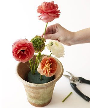 Flower Pot Centerpiece, Cabbage Flowers, Arranging Flowers, Succulent Centerpieces, Diy Arrangements, Flower Arrangements Simple, Silk Floral Arrangements, Floral Arrangements Diy, Flower Studio