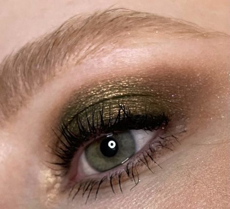 Green Brown Makeup, 2023 Eyeshadow, Hozier Concert, Concert Makeup, Makeup Easy, Brown Makeup, Makeup Stuff, Painting Inspo, Hozier