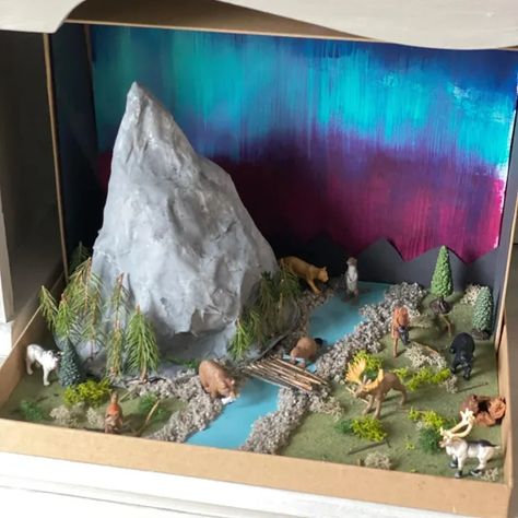 Coyote Habitat Diorama, Biome Projects Middle School, Diorama Mountain Ideas, Alpine Tundra Biome Project, Mountain Habitat Project, Mountain Diaroma, Nature Diorama Ideas, Temperate Forest Diorama, Wolf Diaroma