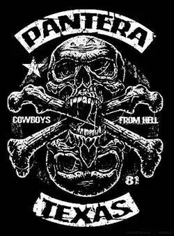 Pantera Band, Arte Heavy Metal, Cowboys From Hell, Dimebag Darrell, Heavy Metal Art, Band Art, Heavy Metal Music, Rock Posters, Heavy Metal Bands