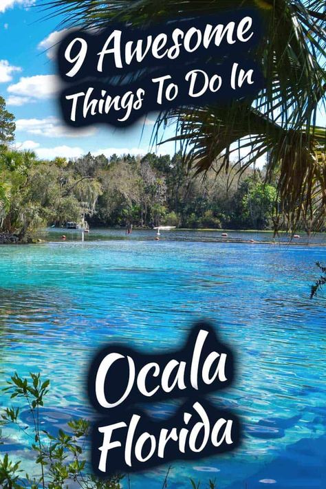 Apopka Florida Things To Do, The Villages Florida Things To Do, Things To Do In Ocala Florida, Ocala Florida Things To Do, Places To Go In Florida, Florida Getaways, Leesburg Florida, Things To Do In Florida, Florida Vacation Spots