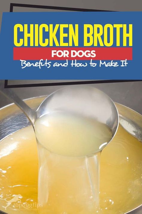 Dog Broth, Chicken Broth For Dogs, Dog Gravy, Cinnamon Food, Broth For Dogs, Homemade Chicken Broth, Make Chicken Broth, Pet Recipes, Chicken Broth Recipes