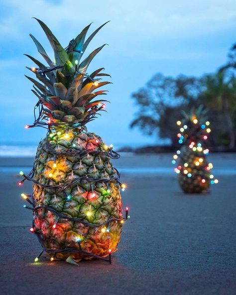 For tropical Christmas and Holiday decor Christmas Luau, Tropical Christmas Decorations, Tiki Christmas, Christmas Coconut, Christmas Tropical, Greek Christmas, Pineapple Christmas, Hot Christmas, Holiday Getaway