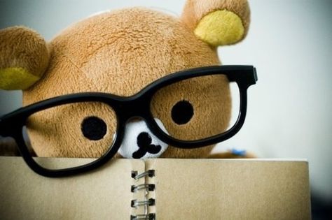 | •rιlακκuмα• | Pinterest on We Heart It Nerd Aesthetic, Rilakkuma, We Heart It, Teddy Bear, Lost, Kawaii