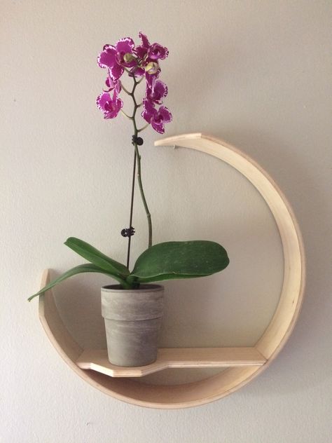 We love the simplicity of this foating wall plant shelf. Especially proportionally stunning with orchids or any other tall plants. Also looks great with a vase and cut flowers. Made from repurposed drum set manufacturing remnants. Orchid Shelf, Wall Plant Shelf, Shelf Wall Decor, Flower Shelf, Round Wall Decor, Reclaimed Wood Shelves, Shelving Design, Plant Shelf, Floating Flowers