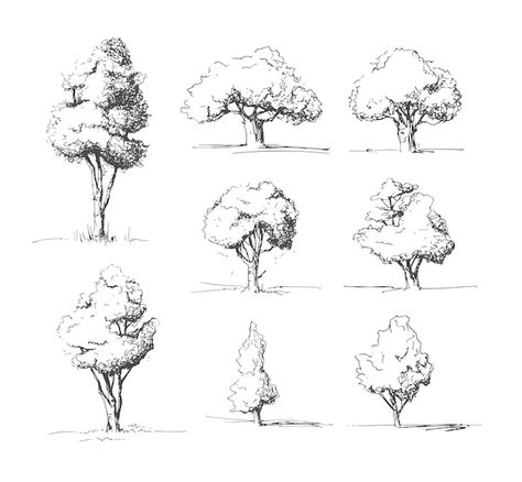 Vector tree skethces | Premium Vector #Freepik #vector #pencil-sketch #tree-sketch #pen-drawing #pencil-drawing Pine Tree Sketch, Tree Pencil Sketch, Palm Tree Sketch, Christmas Tree Sketch, Tree Sketch, Tree Sketches, Landscape Sketch, Vector Trees, Tree Images