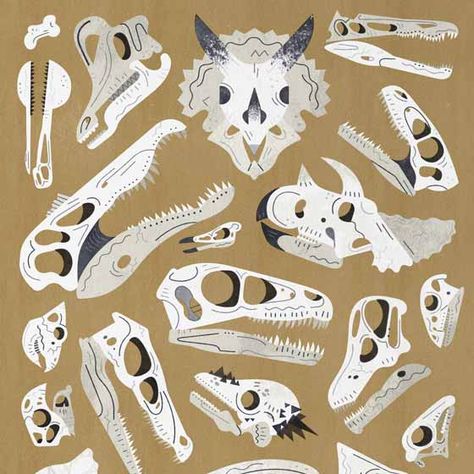 Dinosaur Skull Illustration, Dinosaur Bones Illustration, Dinosaur Moodboard, Paleontology Illustration, Dinosaurus Art, Fossil Illustration, First Class Degree, Fossil Art, Dinosaur Skull