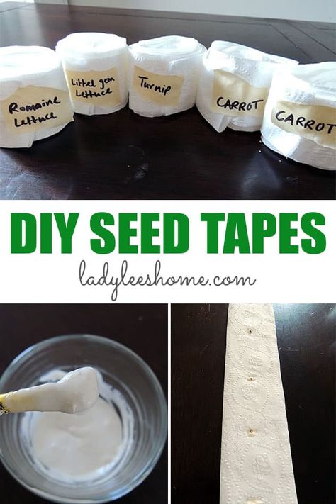 Seed Tape Diy, Seed Tape, Seed Planter, Winter Gardening, Lettuce Seeds, Growing Veggies, Garden Help, Seed Saving, Veg Garden