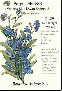 our wedding 'favours' will be hand painted tealight holder jars and personalised, handmade seed packets with forget-me-not seeds in them. Forget Me Not Seeds, Plant Delivery, Flower Meanings, Blue Theme, No Rain, Flower Names, Language Of Flowers, Shade Plants, Planting Bulbs