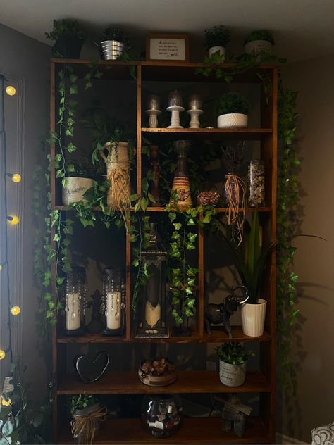 Green Witch Apartment Aesthetic, Swamp Aesthetic Decor, Witch Aesthetic Shelves, Gothic Botanical Aesthetic, Fairycore Apartment Aesthetic, Nature Goth Aesthetic Room, Moss Aesthetic Room, Nature Goth Decor, Goth Fairy Decor