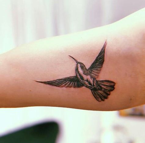 LUKE'S NEW TATTOO OMG || @liviatsang via ig Luke Hemmings Tattoo Ideas, Luke Hemmings Tattoo, Messenger Pigeon, 5sos Tattoo, Frozen Tattoo, Pigeon Tattoo, Tattoo Free, Second Tattoo, Finger Tattoo For Women