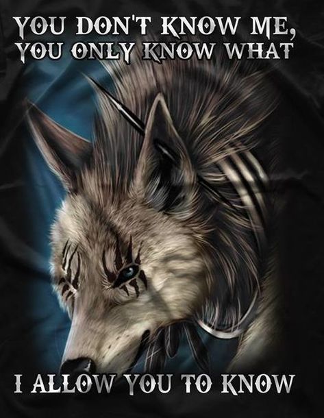 You don't know me | Wolf quotes, Cute animal quotes, Animal quotes Wolf Pack Quotes, Inspirational Animal Quotes, Lone Wolf Quotes, Viking Quotes, Cute Animal Quotes, Quotes Cute, Wolf Painting, Alpha Wolf, Fantasy Wolf