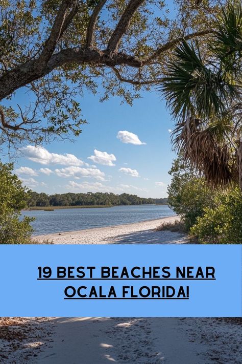 One of the best beaches near Ocala Florida, Caladesi Island is an untouched gem of the Gulf Coast. 123 miles southwest of Ocala on an unspoiled island, Caladesi Island State Park is only accessible by boat. Caladesi Island, Caladesi Island State Park, Gulf Coast Beaches, Flagler Beach, Hampton Beach, Ocala Florida, Pine Island, Travel Florida, Jacksonville Beach