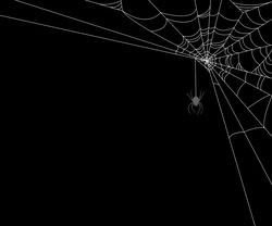 Spider Web Overlay, Y2k Header, Creepy Drawings, Ios Wallpaper, Web Patterns, Call Off Duty, Overlays Picsart, Phone Theme, Iphone Wallpaper Photos