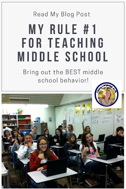 Middle School Behavior, Middle School Classroom Management, Core Ideas, Writing Posters, Substitute Teaching, Middle School Lessons, Middle School Language Arts, Middle School Reading, Language Arts Classroom