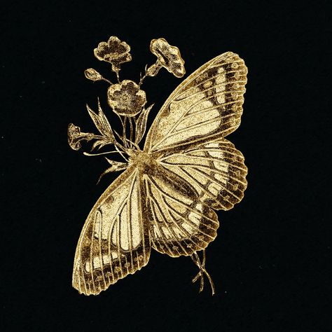 Black And White Gold Aesthetic, Gold Elements Design, Black And Gold Aesthetic Vintage, Golden Butterfly Aesthetic, Gold Butterfly Aesthetic, Gold Aesthetic Pictures, Vintage Gold Aesthetic, Dark Gold Aesthetic, Indian Moodboard