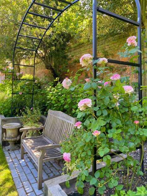 Small English Garden Ideas, 1890 House, Budget Garden Ideas, Garden On A Budget, Rose Garden Design, Backyard Buildings, Budget Garden, Aesthetic Garden, Cottage Garden Design