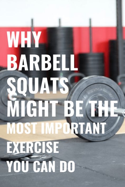 One of the prescriptions healthcare professionals recommend for the prevention of falls unsurprisingly are exercises that make your legs stronger and improve your balance. One of the best exercises to do that is squats. Strength | Fitness | Health | Sarcopenia | Reduced risk of dementia #barbell #squats #fitness #weightlifting Barbell Squat Workout, Barbell Squats Women, Barbell Back Squat Form, Barbell Squat Variations, Squat With Barbell, Squat Barbell, Squat With Bar, Homestead Blog, Weighted Squats