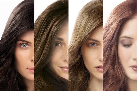 Herbatint Hair Color Results, Herbal Extracts, Direct Marketing, Grey Hair, Highlights, Hair Color, Australia, Grey, Makeup