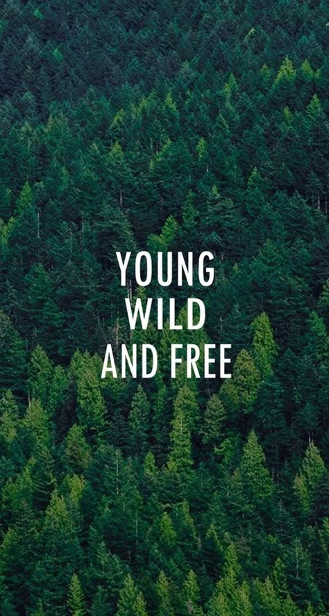 Young Wild And Free Forest Pattern iPhone 6 Plus HD Wallpaper Wallpapers For Teens, Teen Wallpaper, Desktop Wallpaper Design, Young Wild Free, Wallpaper Tumblr, Nature Quotes, Wild And Free, Mobile Wallpaper, Travel Quotes