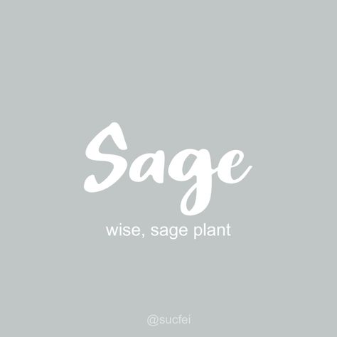 Sage Name Meaning, Sage Name, Sage Plant, Middle Names, Dream Family, People Names, Future Family, Names With Meaning