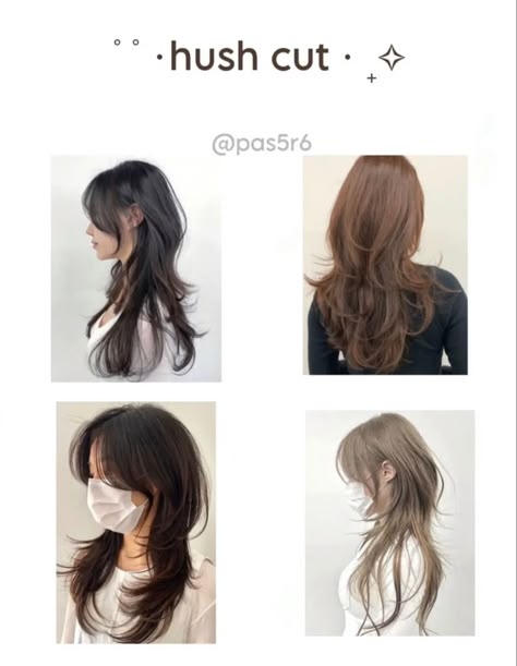 Haircut Reference Medium, Hush Cut And Hime Cut, Asian Layered Hair, Pretty Haircut, Medium Hairs, Hush Cut, Hair Styles Ideas, Wolfcut Long, Hair References