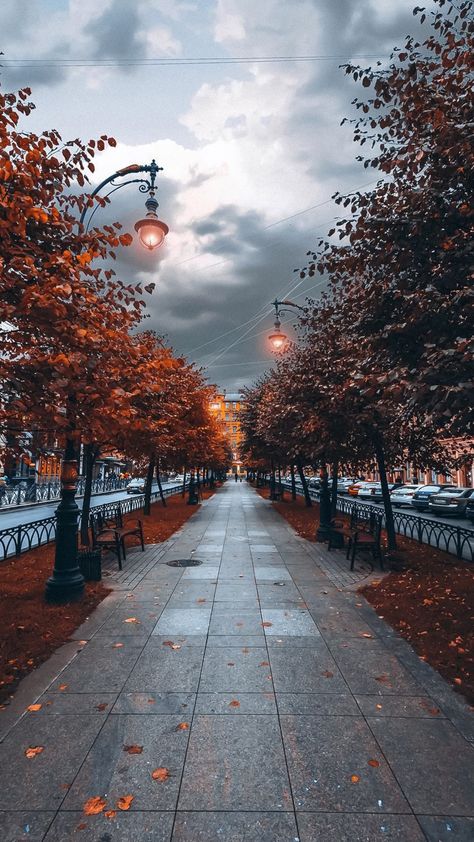 October Sky, Fall City, New York Winter, Dark Nature Aesthetic, Autumn Scenes, Winter Wallpaper, Autumn Scenery, Aesthetic Photography Nature, Flower Phone Wallpaper