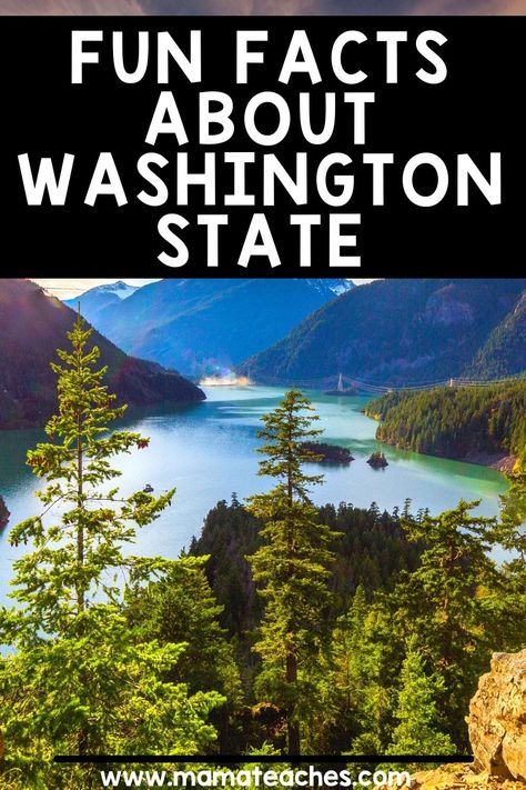 2024 Bujo, Washington State History, Sugar Addict, Homeschool Lessons, State Crafts, American States, March Activities, Wa State, History Videos