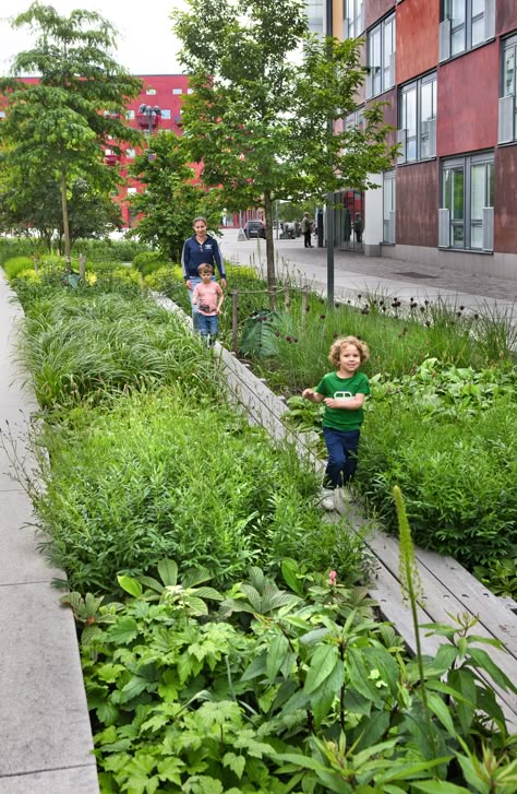 Urban Permaculture, Urban Design Concept, Linear Park, Eco City, Urban Agriculture, Outdoor Living Design, Children's Garden, Green Street, Landscape Architecture Design