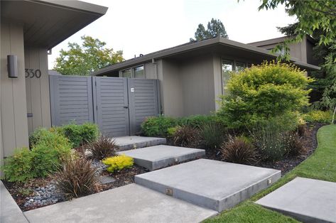 Steps to the Courtyard Entrance Enclosed Front Yard, Front Yard Courtyard, Courtyard Entrance, Low Growing Shrubs, Gold Sunset, Integrated Pest Management, Sustainable Landscaping, Pest Management, Green Box