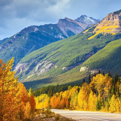 Enjoy these perfect-in-fall activities, then cozy into one of the best hotels to stay in when visiting Banff National Park in Canada. Fairmont Banff Springs, Fairmont Banff, Cascade Falls, Hiking National Parks, London History, Parks Canada, Natural Structures, Scottish Castles, Small Waterfall